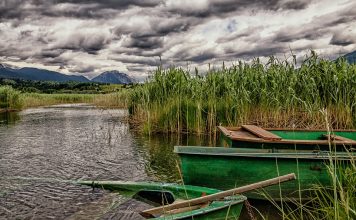 Naturfreunde sehen mehr von Kärnten